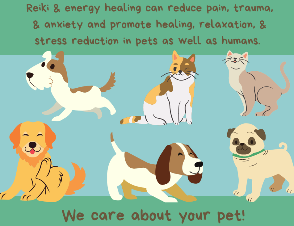 Pet Health